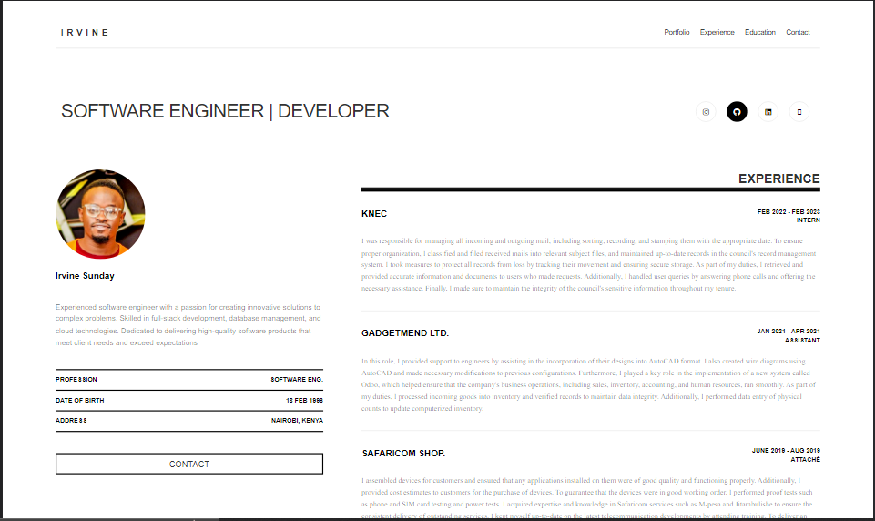 online CV project